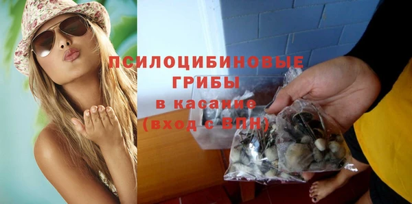 дурь Дмитров