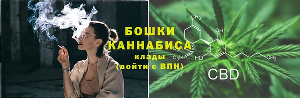 ГАЛЛЮЦИНОГЕННЫЕ ГРИБЫ Дмитровск