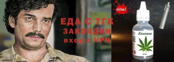 гидра Ельня