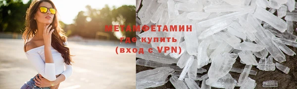 гидра Ельня