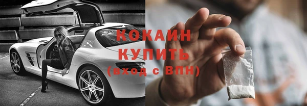 сатива Елабуга