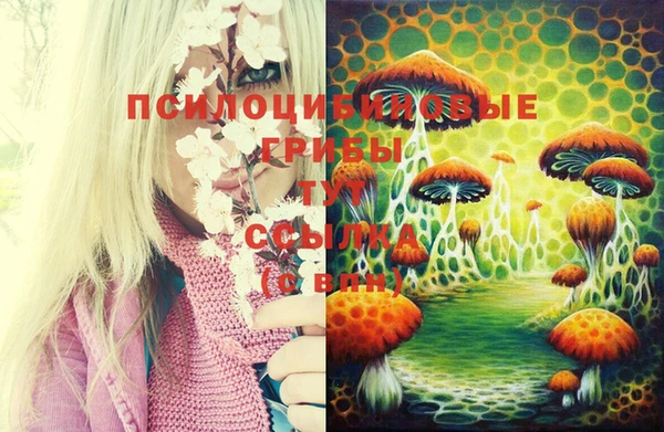 ГАЛЛЮЦИНОГЕННЫЕ ГРИБЫ Дмитровск