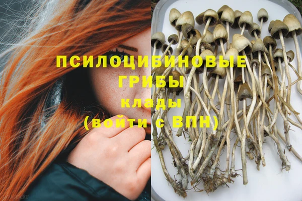ГАЛЛЮЦИНОГЕННЫЕ ГРИБЫ Дмитровск