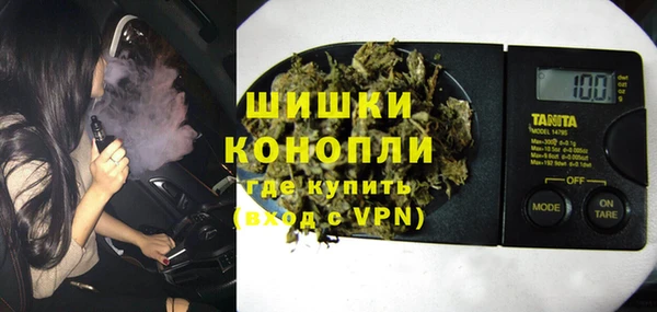 сатива Елабуга